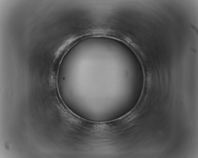 X0000103321454200809121137