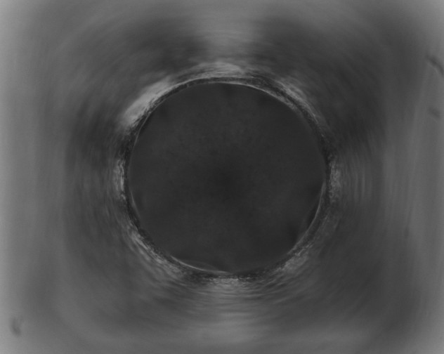 X0000103321455200809121136