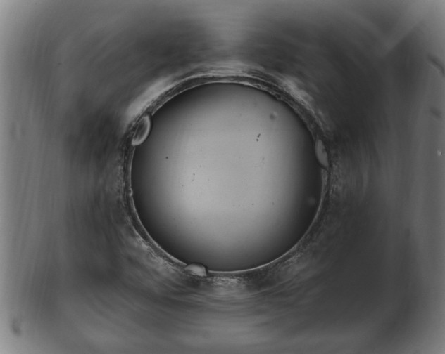 X0000103321456200809121136