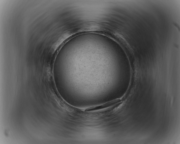 X0000103321457200809121136