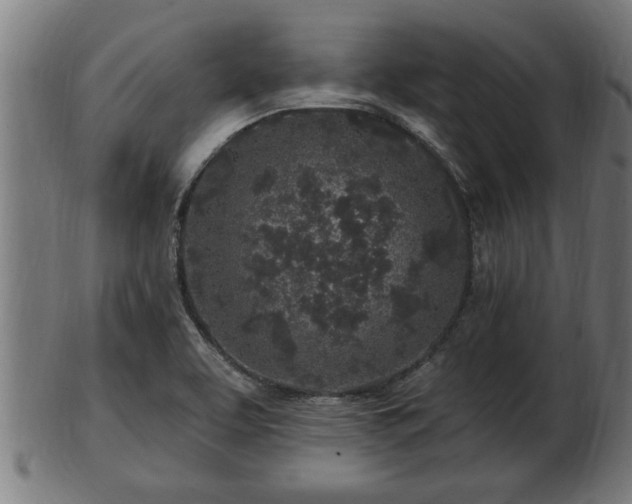 X0000103321463200809121136