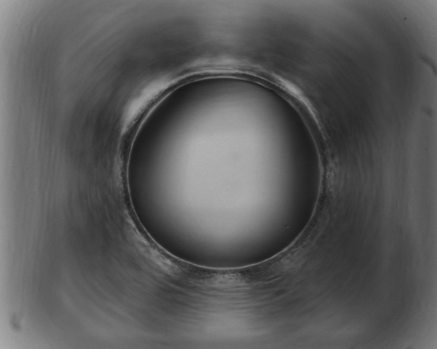 X0000103321464200809121136