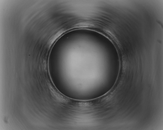 X0000103321465200809121136