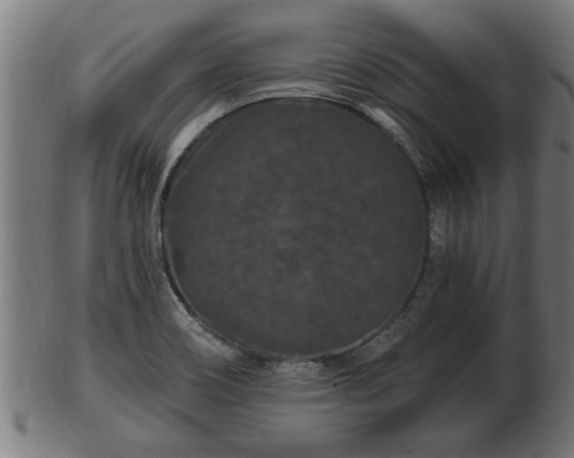 X0000103321466200809121136