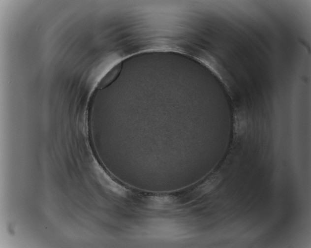 X0000103321468200809121136