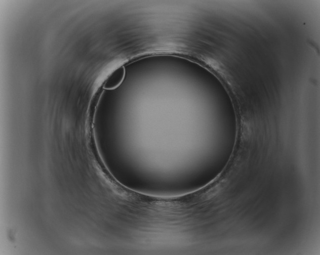 X0000103321469200809121136