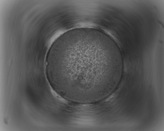 X0000103321471200809121136