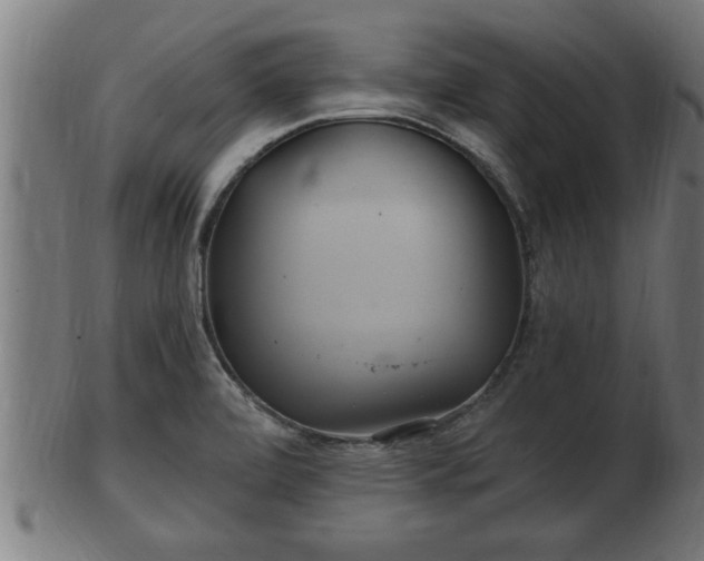 X0000103321472200809121136