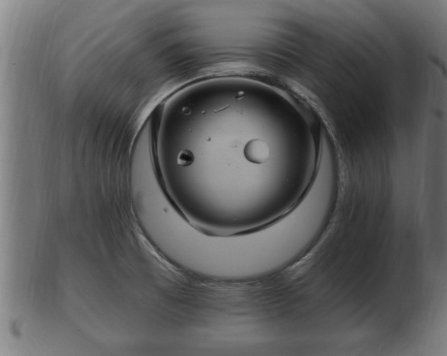 X0000103321473200809121136