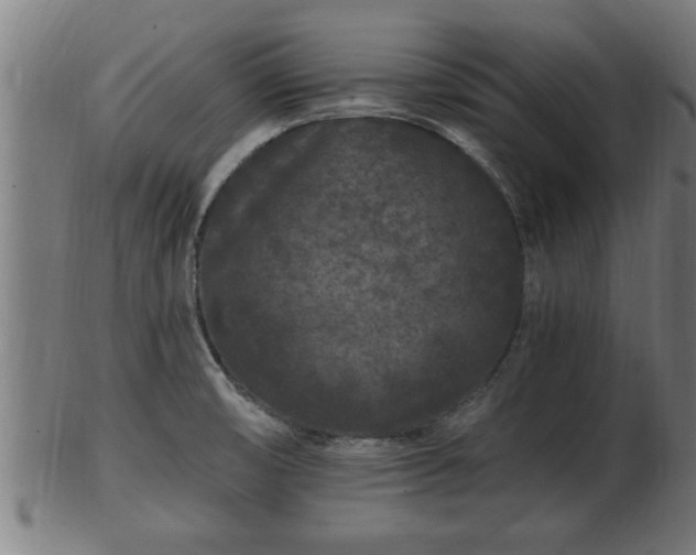 X0000103321474200809121136