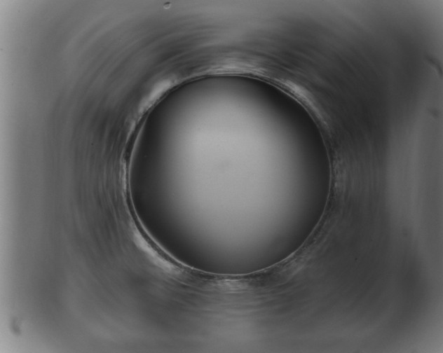 X0000103321476200809121136