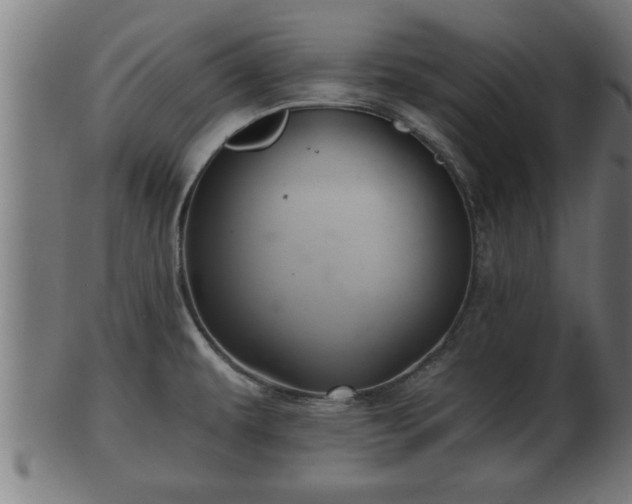 X0000103321479200809121136