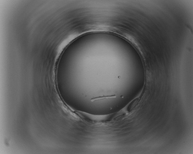 X0000103321480200809121136