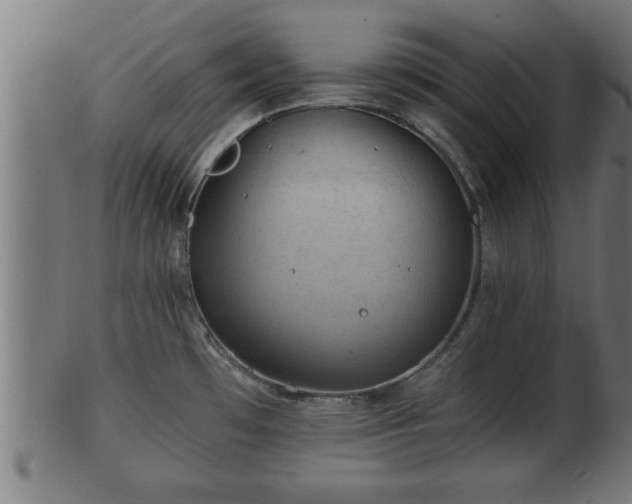 X0000103321481200809121136