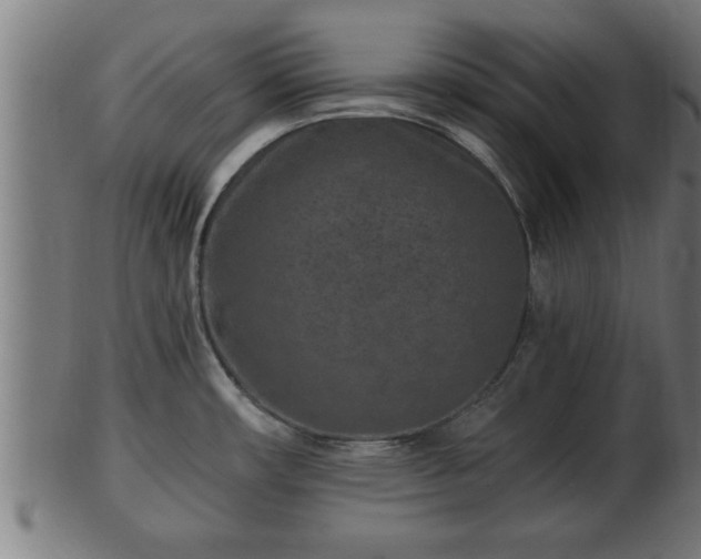 X0000103321482200809121136