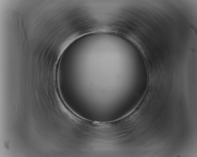 X0000103321483200809121136