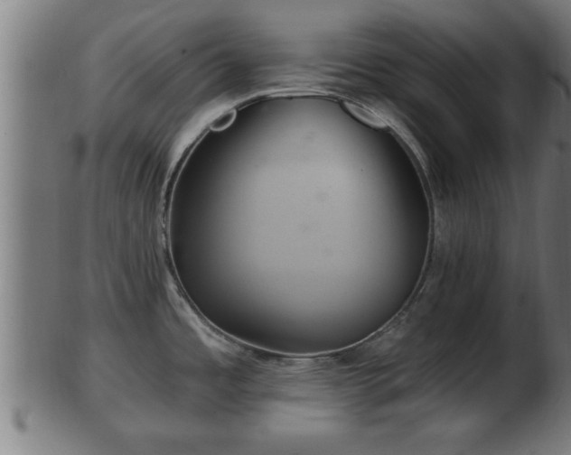 X0000103321485200809121136