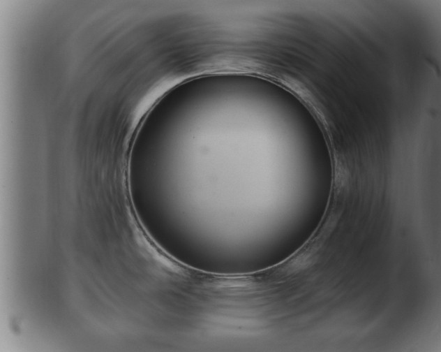 X0000103321486200809121136