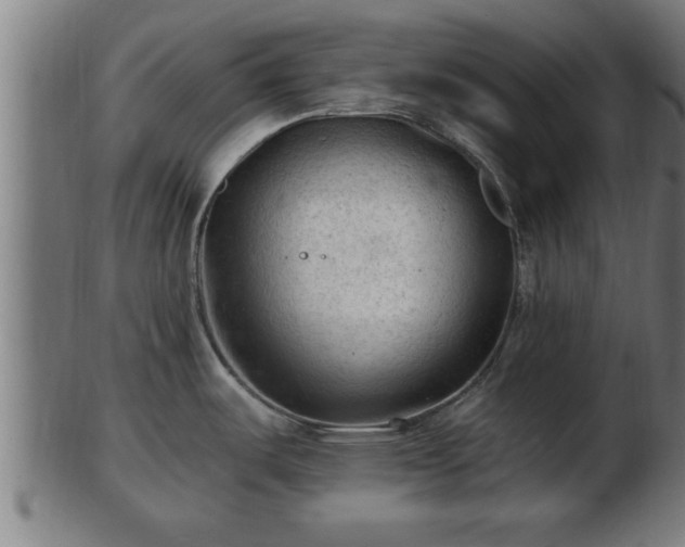 X0000103321487200809121136