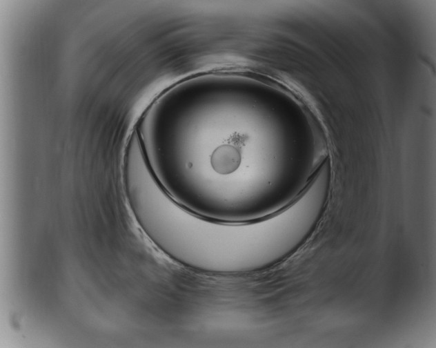 X0000103321488200809121136