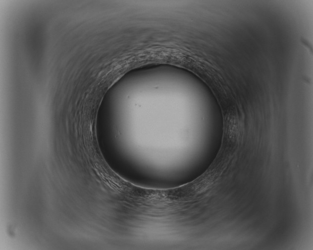 X0000103321489200809121135