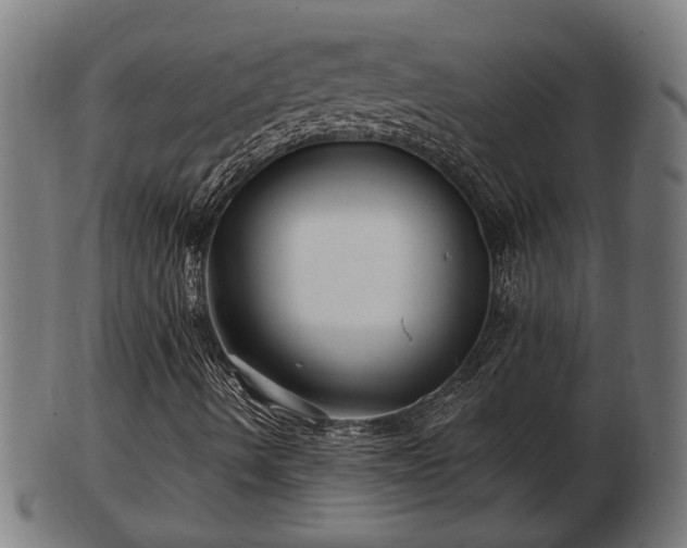 X0000103321490200809121135