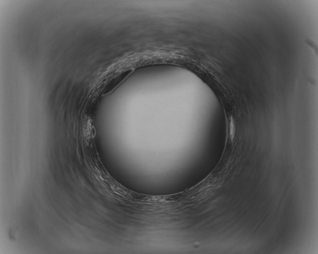 X0000103321492200809121135