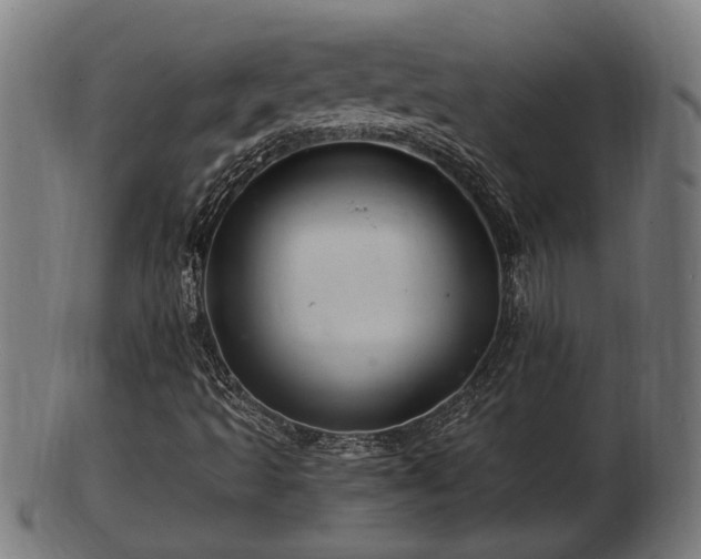 X0000103321493200809121135