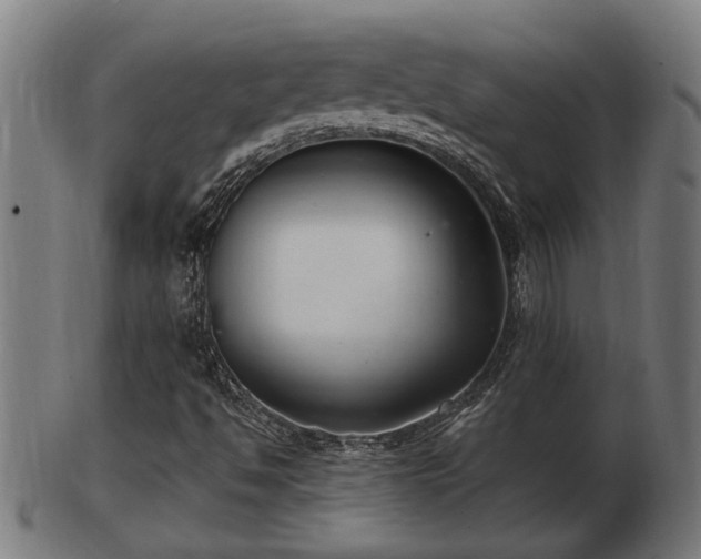 X0000103321494200809121135