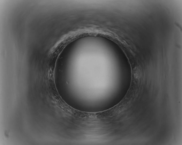 X0000103321495200809121135