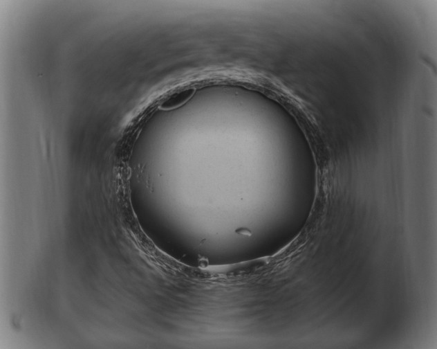 X0000103321496200809121135