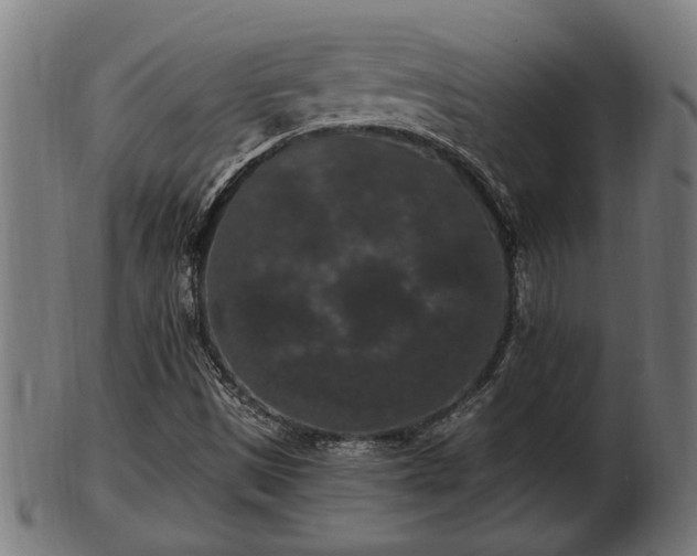 X0000103321497200809121135