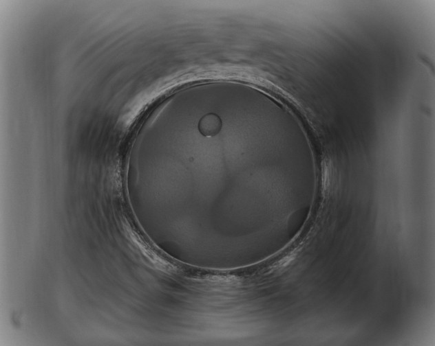 X0000103321498200809121135