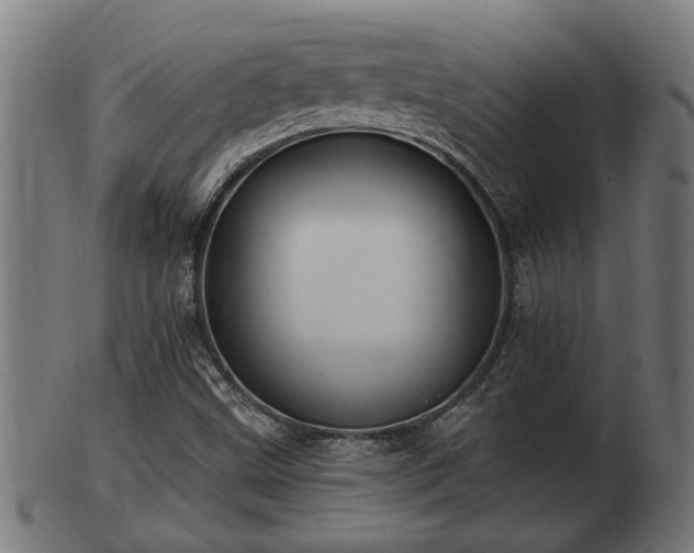 X0000103321499200809121135