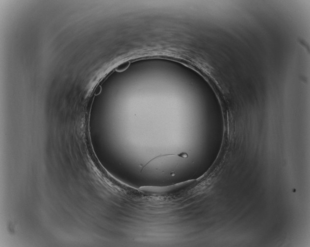 X0000103321500200809121135