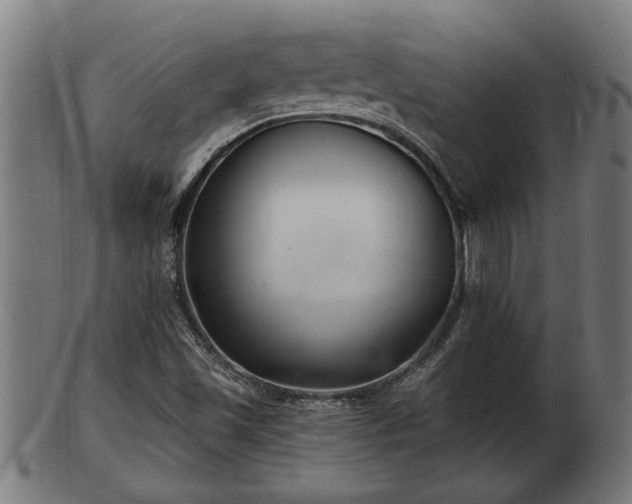 X0000103321501200809121135