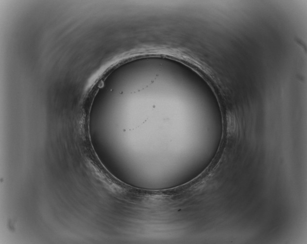 X0000103321502200809121135