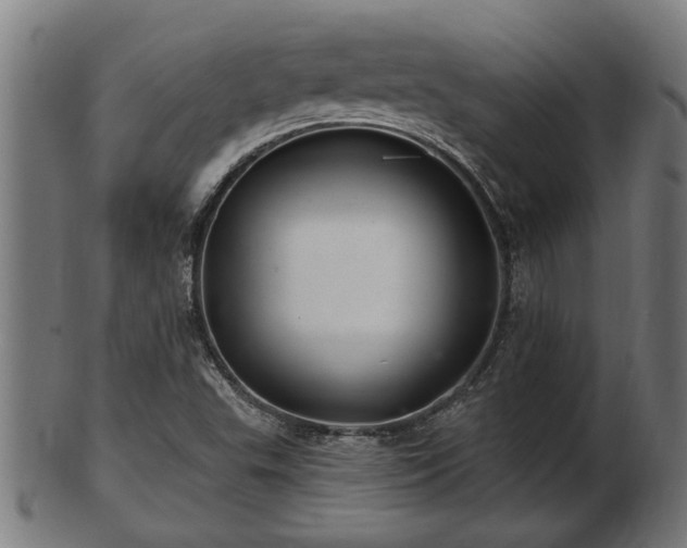 X0000103321503200809121135