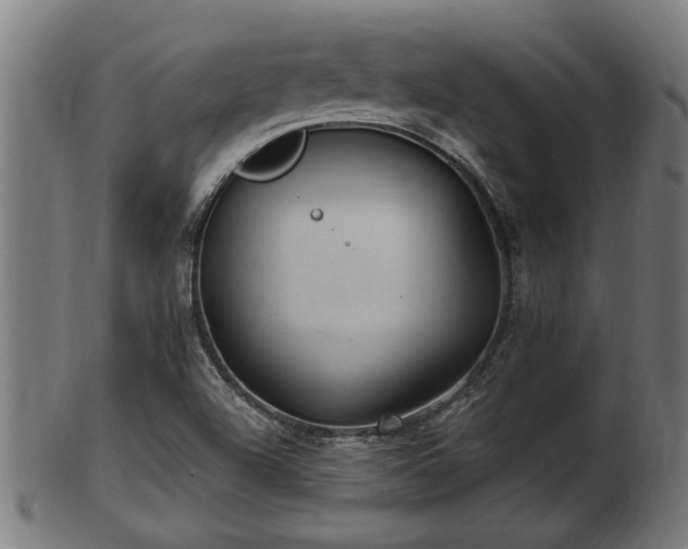 X0000103321504200809121135