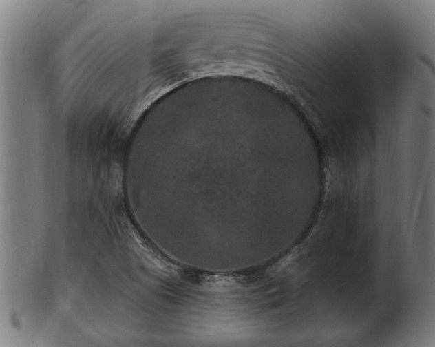 X0000103321505200809121135