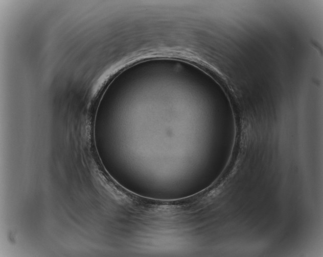 X0000103321506200809121135