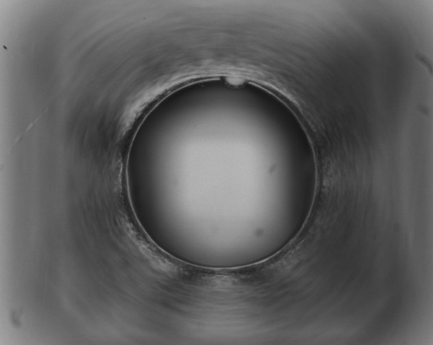 X0000103321507200809121135