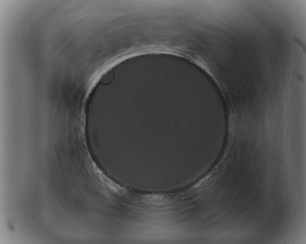 X0000103321508200809121135