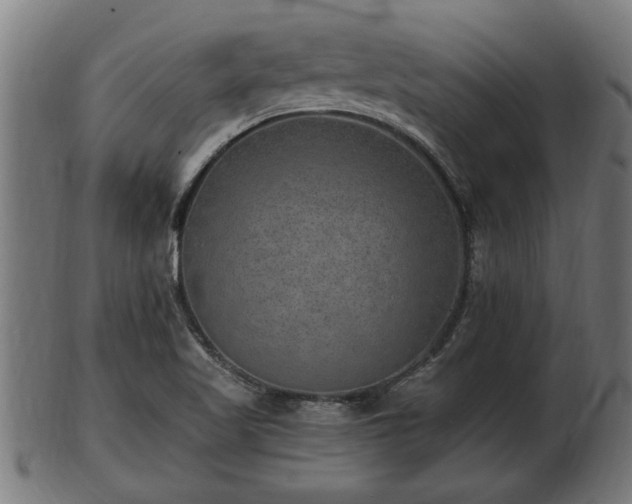 X0000103321509200809121135