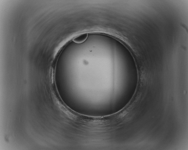 X0000103321510200809121135