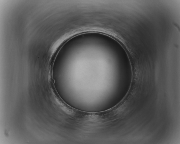 X0000103321511200809121136