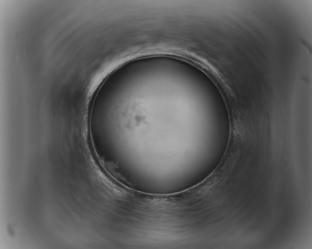 X0000103321512200809121136