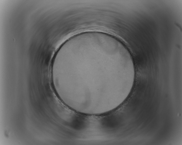 X0000103321514200809121136