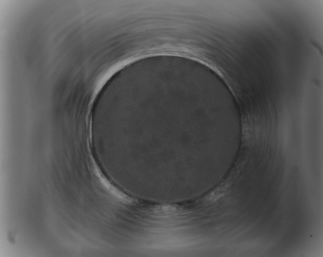 X0000103321515200809121136