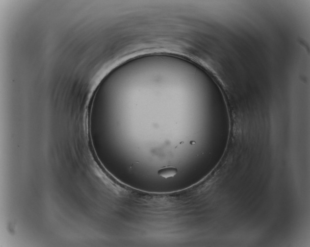 X0000103321516200809121136